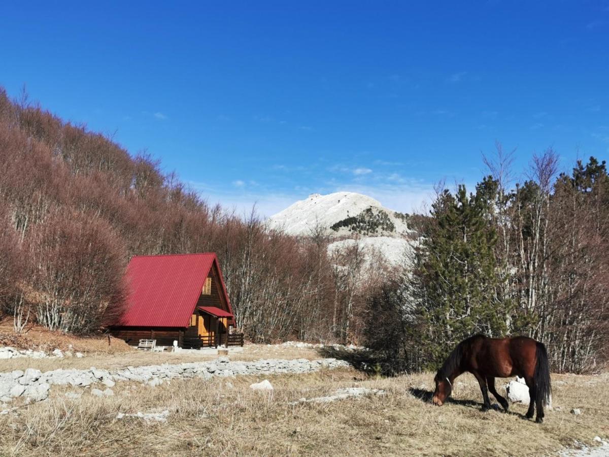 Breeze Home Cottage Cetinje Exteriér fotografie